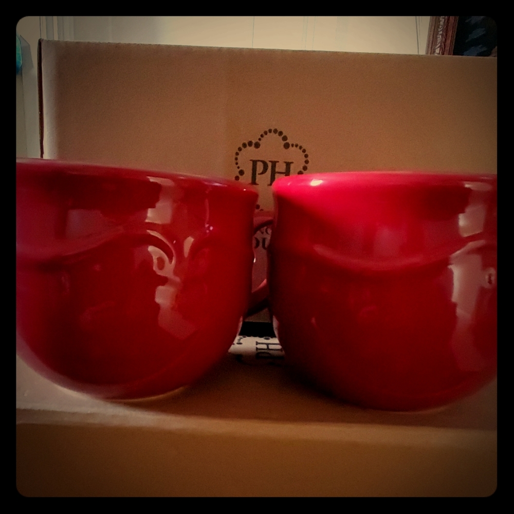 Pavillion Berry Soup Mugs